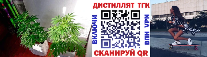 ТГК вейп с тгк  закладки  Волжск 