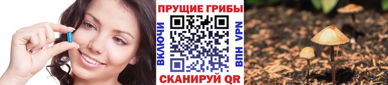наркота  kraken зеркало  Галлюциногенные грибы ЛСД  Волжск 